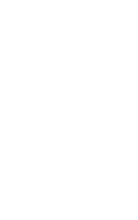 DX5 на основе решенияСайт Мэйкерс Владимир Шляпин Генеральный директор +7 925 771-57-34 office@sitemakers.ru Цифровая трансформация